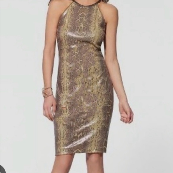 Cache Gold Patterned Midi Dress - Picture 3 of 5